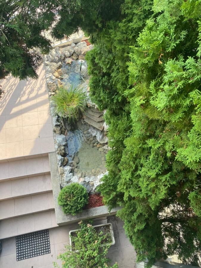 Gala Posh Daire Soko Banja Dış mekan fotoğraf