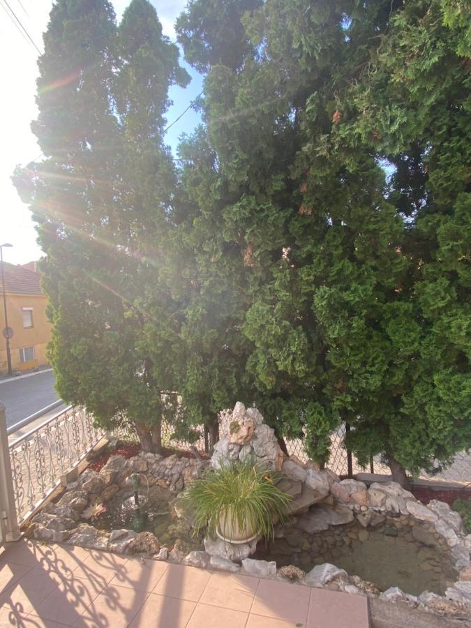 Gala Posh Daire Soko Banja Dış mekan fotoğraf